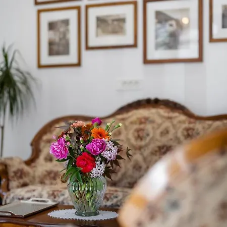 Kotnik Superior Boutique 3*