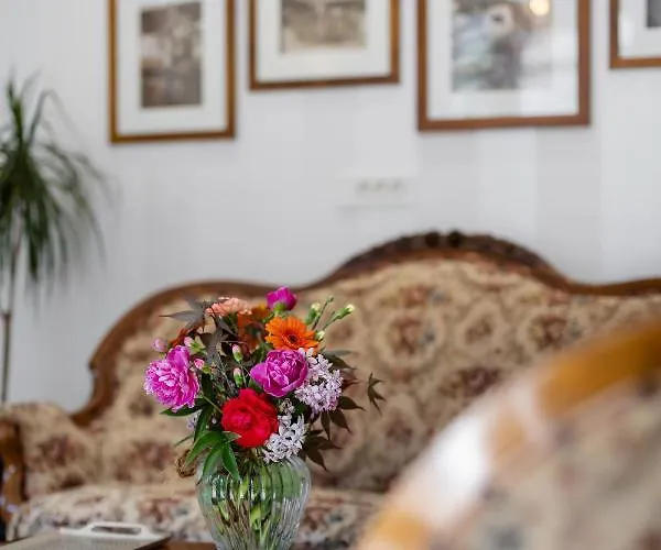 Kotnik Superior Boutique 3*