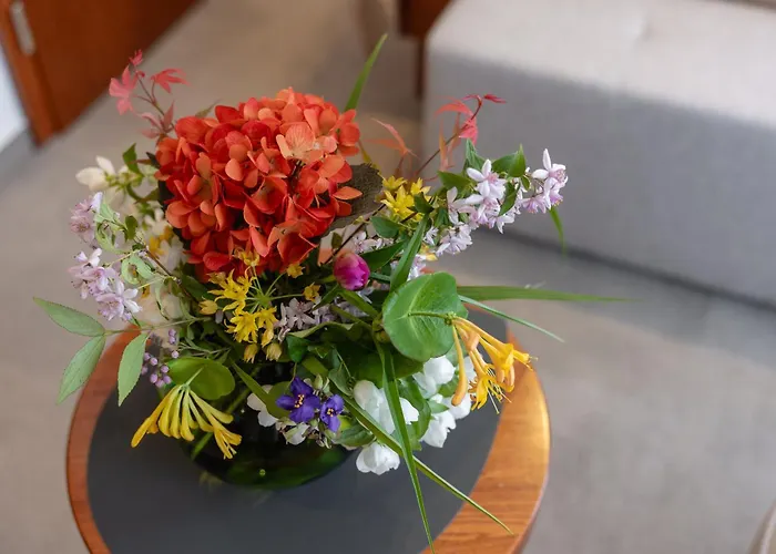 Kotnik Superior Boutique מלון 3*